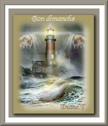bon dimonche